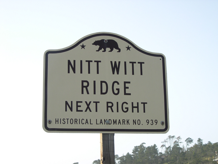 San Luis Obispo County - Nitt Witt sign