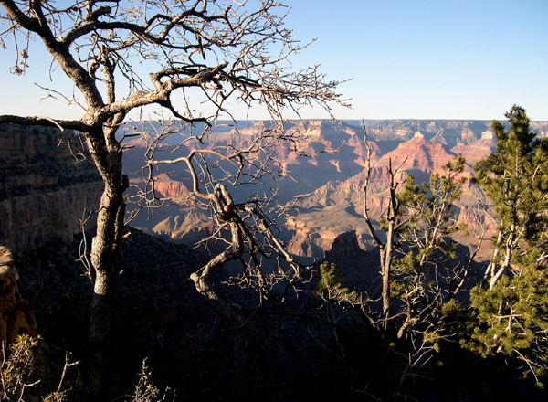 Grand Canyon, view from the South Rim
