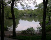 New York, Central Park (thumbnail)