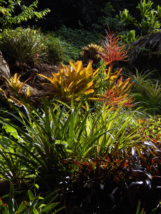 Waimea Botanical Garden