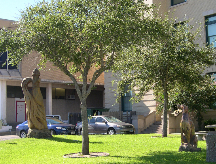 Galveston, Texas - Tree Sculptures at the Fire Station