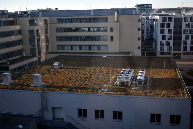 Dresden - view from hotel room - roof 'garden'?