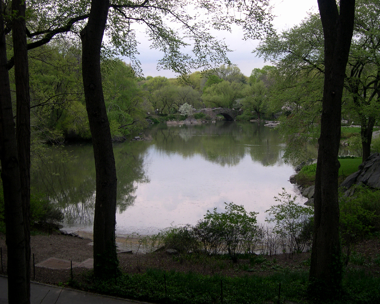New York - Central Park Pond