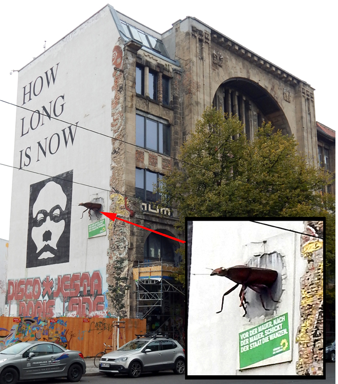 Berlin graffiti on historic building - The state sends the bugs