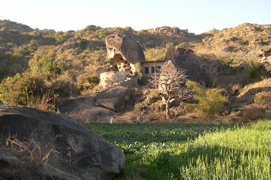 rock house and cabbage field, Dilwara (Mt Abu), Rajasthan