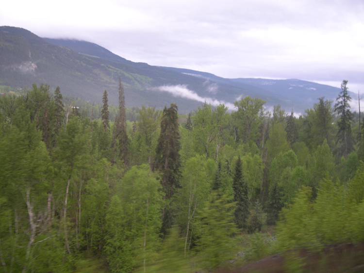 The Skeena (train) - scenery