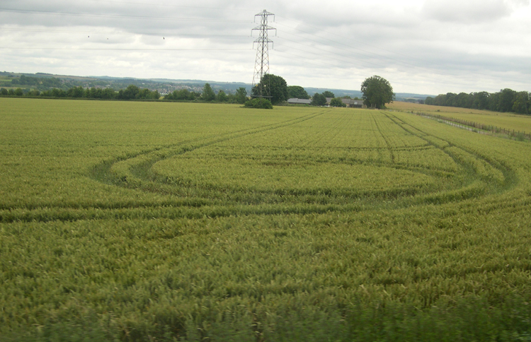 crop sculpture, Great Britain