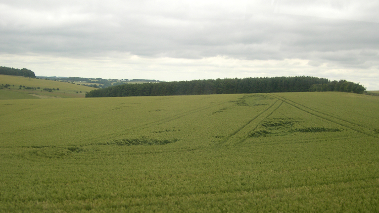 crop sculpture, Great Britain