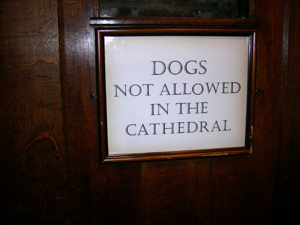 Dogs Not Allowed, Chester Cathedral