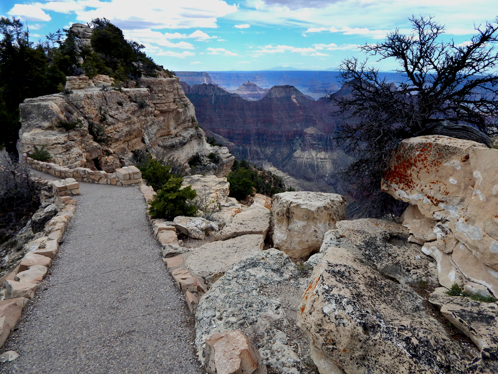 Grand Canyon, Arizona - North Rim - trail to Bright Angel Point