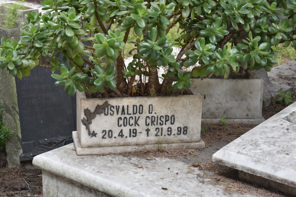 Tumba Cock Crispo, Cementerio Central, Montevideo