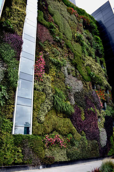 Buenos Aires - Aeroparque parking structure - wall of vegetation (outside)