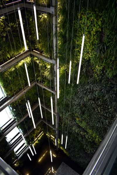 Buenos Aires - Aeroparque parking structure - wall of vegetation (inside)
