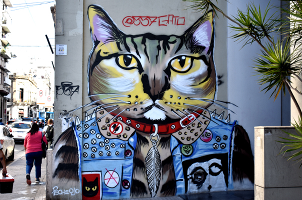 Rosario - street art - gato