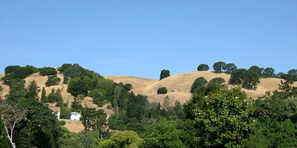 Martinez, California hillside
