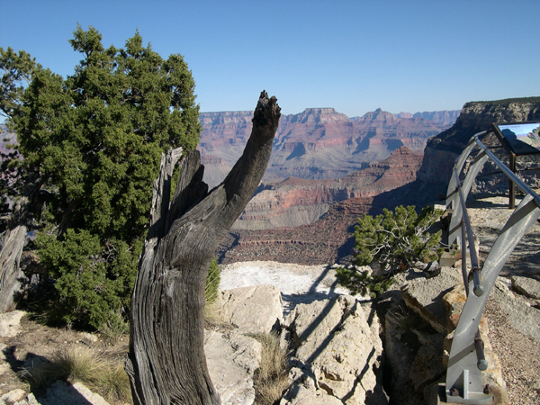 Grand Canyon - view from the South Rim